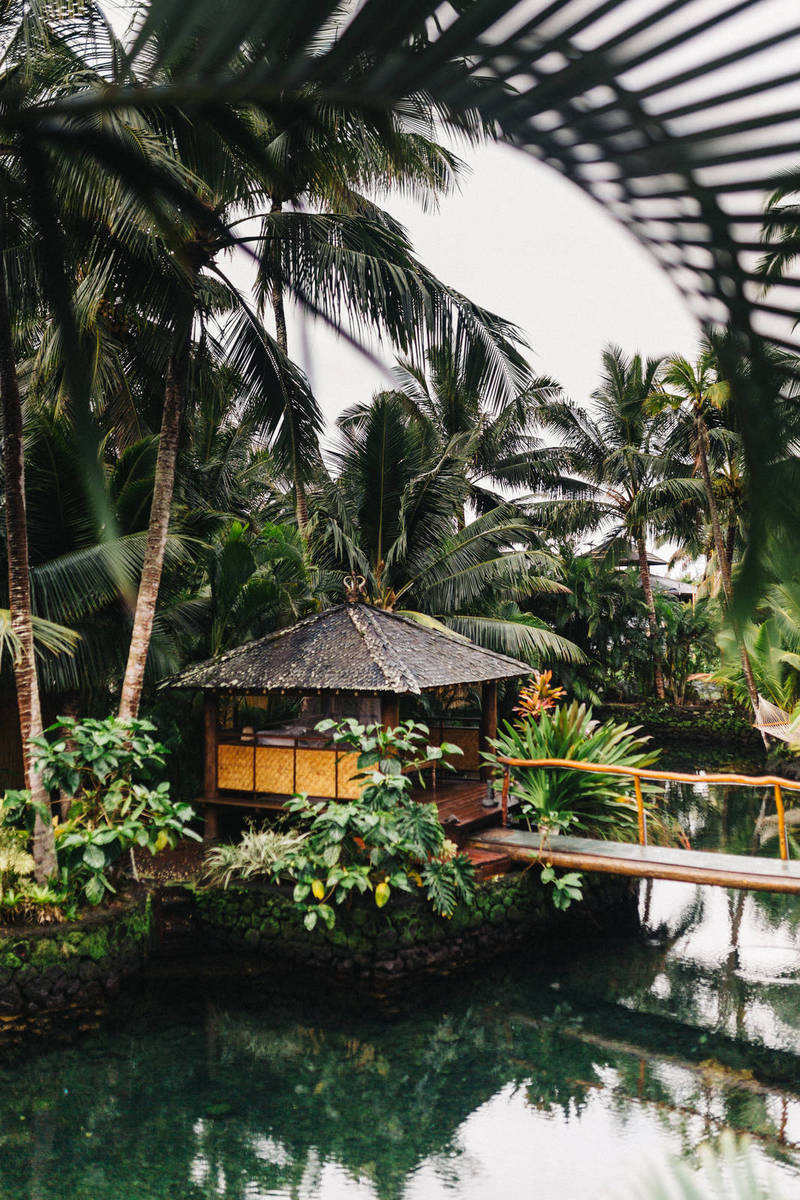 Love In Style For The Proposal of Timeless Relation